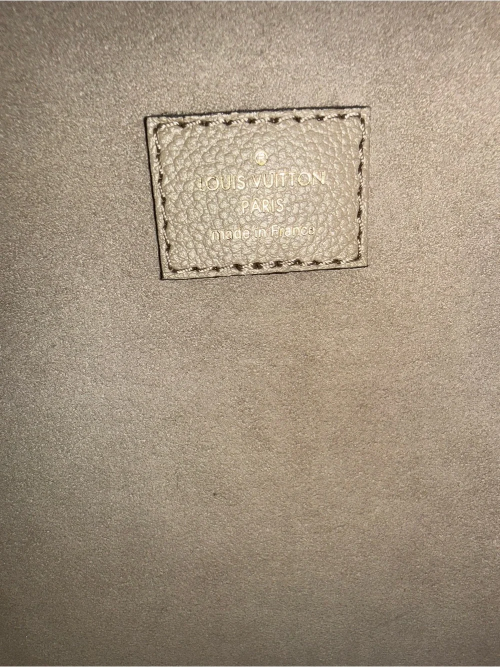 Louis Vuitton Hobo Loop Gray Bag